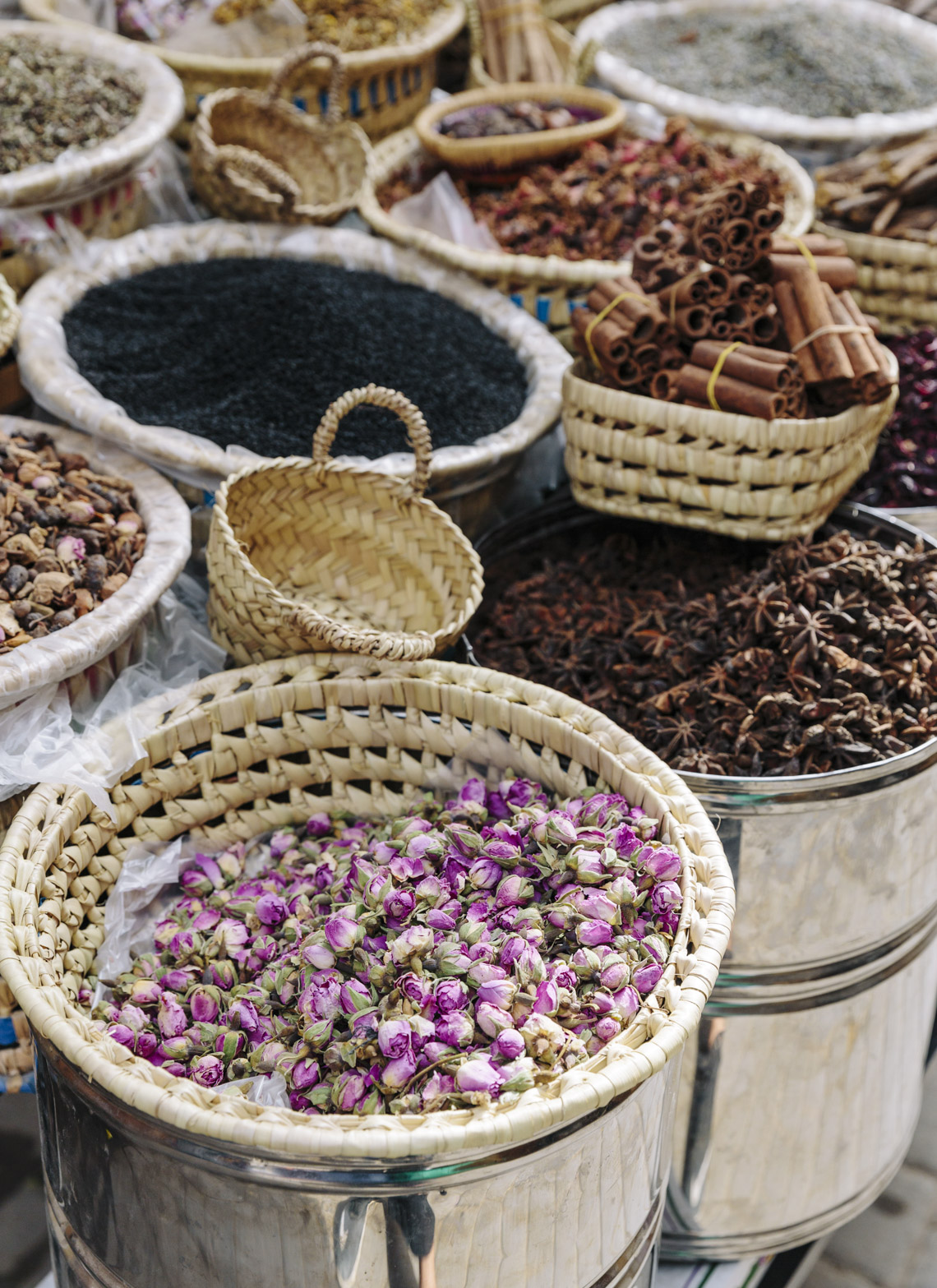 Hale_Morocco_61