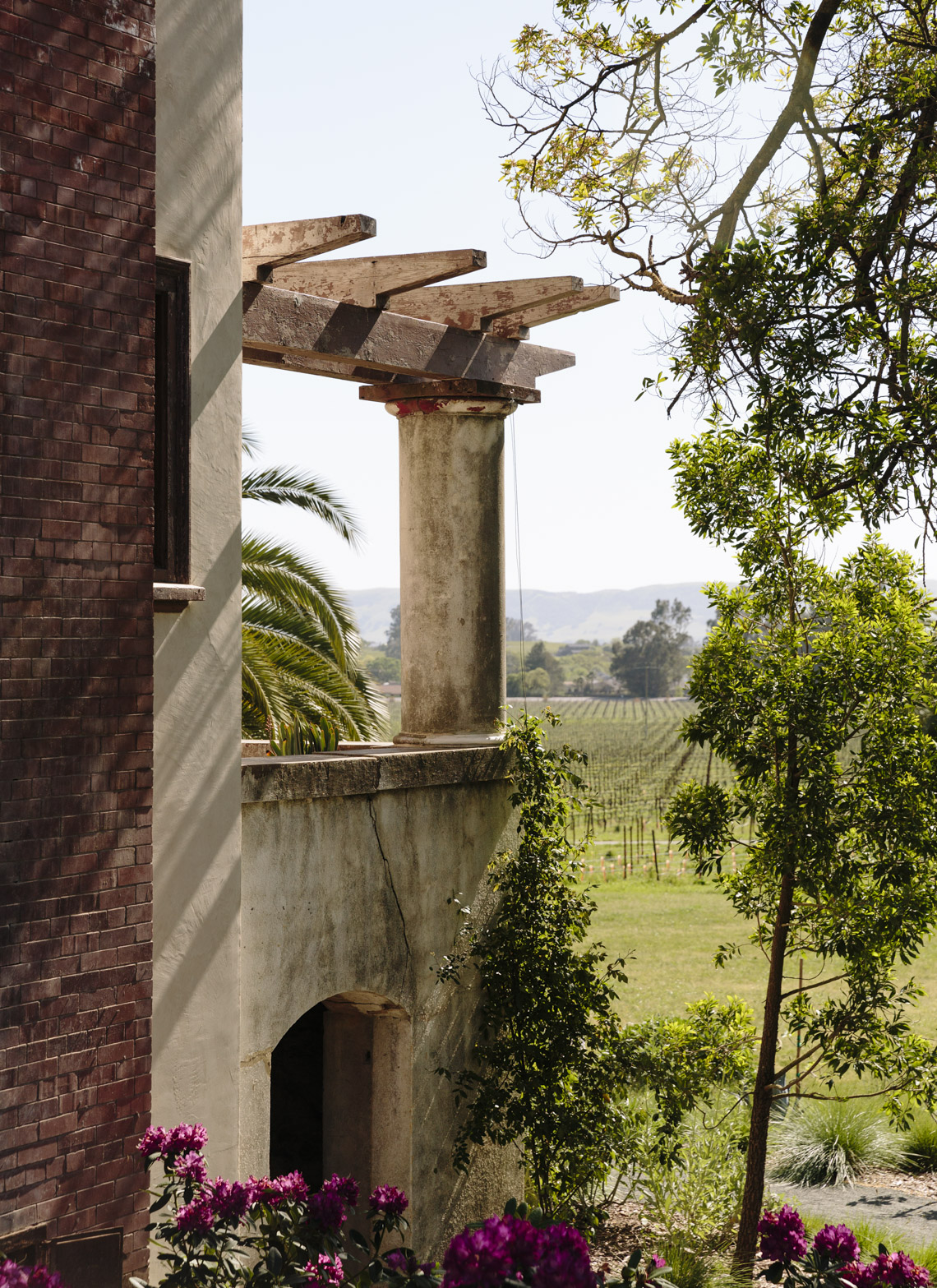 Hale_ScribeWinery_27