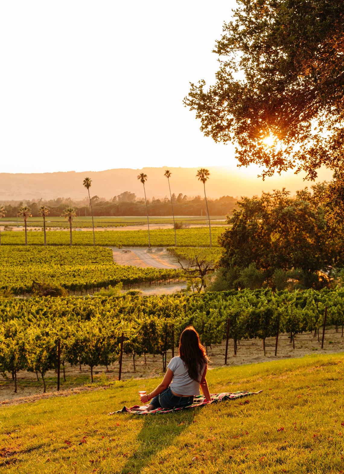 Hale_ScribeWinery_37